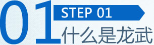 什么是龙武