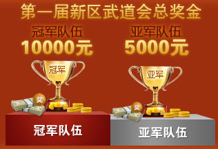第一届新区武道会总奖金